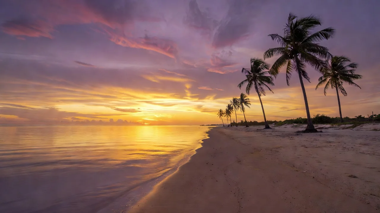 Costa africana ao entardecer com palmeiras e o mar calmo de Moçambique